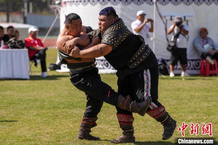 摔出风采，跤到朋友——上海队获搏克男子团体
